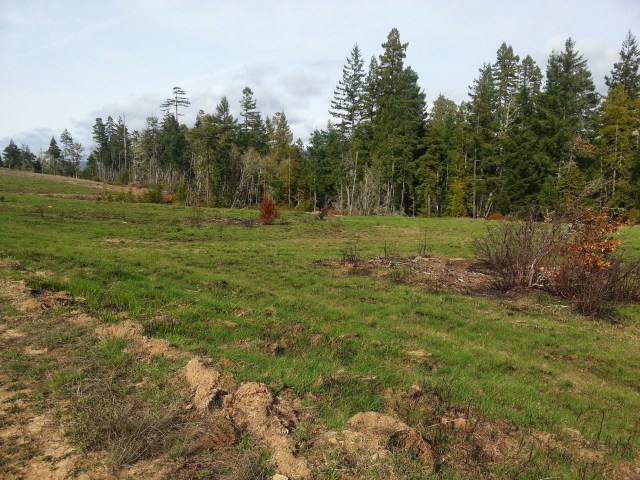 ORAA_burn regrowth_Feb 2014